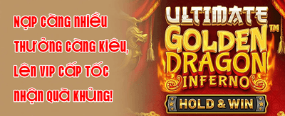 Attractive online gaming interface at 789 Link