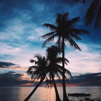 Lê Minh Phương avatar